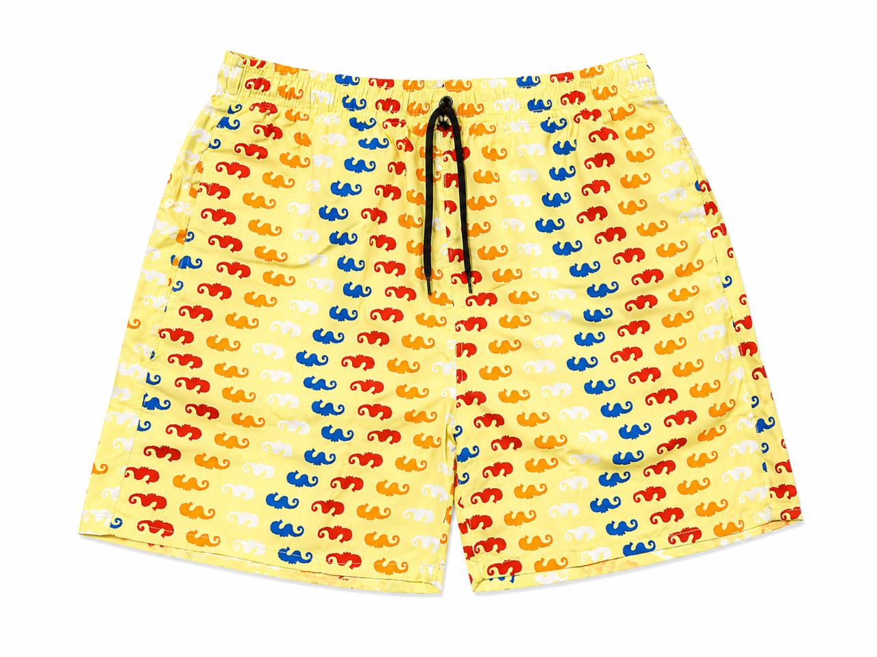 short bhar